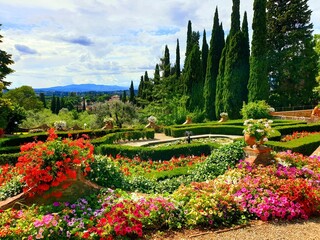 flowers in the park, toscany