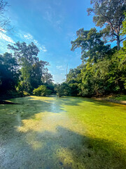 Preah Khan, Preah Khan Kampong Svay archaeological site, Angkor, Cambodia