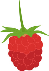 raspberry clipart