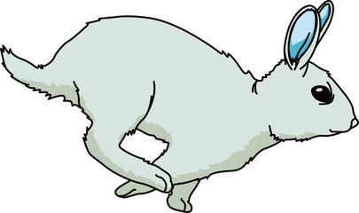 うさぎ（Rabbit）(eps)