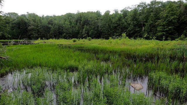 Cherry Plain 143 Secret Pond