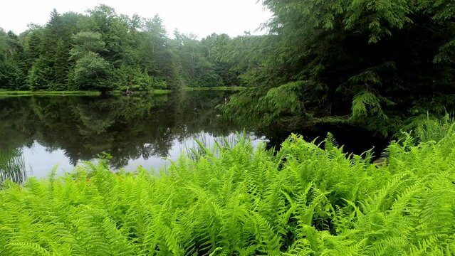 Cherry Plain 149 Secret Pond