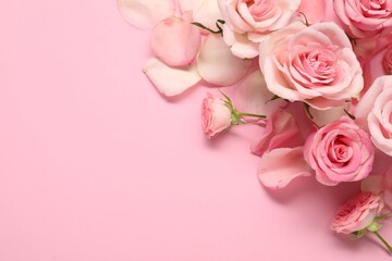 Beautiful roses and petals on pink background, top view. Space for text - obrazy, fototapety, plakaty