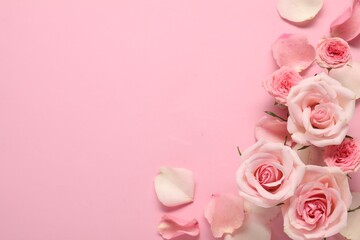 Beautiful roses and petals on pink background, top view. Space for text