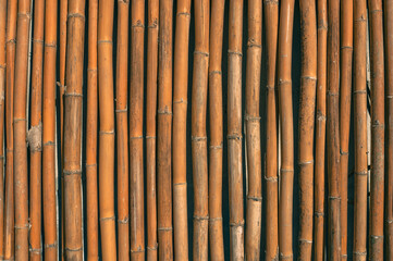 Fototapeta premium bamboo wall background