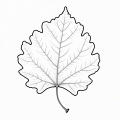 Fototapeta premium Botanical lineart