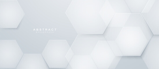 Modern abstract white hexagonal background. Minimal trendy clean geometry banner. Vector illustration - obrazy, fototapety, plakaty