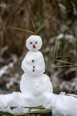 Snowman with hair leaves in nature