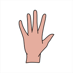 Fototapeta premium Aquarium Hand vector illustration. Female hands holding and pointing gesture, crossed fingers, fist, peace and thumbs up. Cartoon human palm and wrist vector set. hand sign language for the deaf