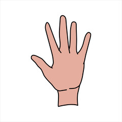 Fototapeta premium Aquarium Hand vector illustration. Female hands holding and pointing gesture, crossed fingers, fist, peace and thumbs up. Cartoon human palm and wrist vector set. hand sign language for the deaf