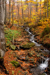 An autumn stream flowing through a colorful autumn forest