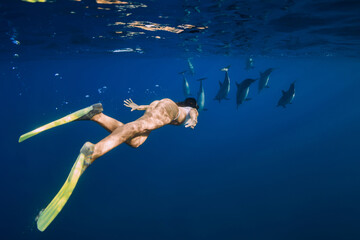 Woman swims with dolphins family in blue ocean in Mauritius - obrazy, fototapety, plakaty