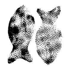 fish textured ink stamp on white background. fish texture scale