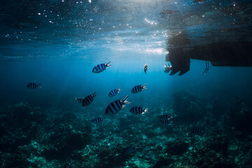 Underwater scene with fish, bottom of boat with sunlight in blue ocean