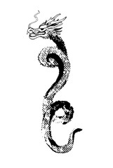 Fototapeta premium black textured dragon on white background grunge