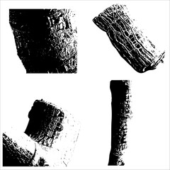 tree bark texture on white background. bark texture imprint