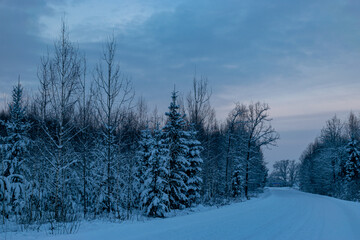 Fototapeta na wymiar beautiful winter landscape, blue hour, dusk