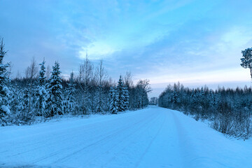 beautiful winter landscape, blue hour, dusk