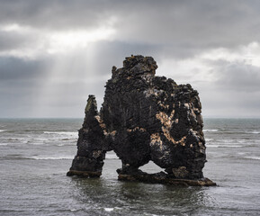 The drinking elephant or rhinoceros, basalt stack Hvitserkur along the eastern shore of Vatnsnes...