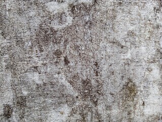 stone wall background