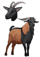 Vector illustration of a Belgian fawn goat