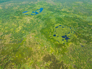 Lush vegetation and swamp forest over the Agusan Marsh Wildlife Sanctuary. Mindanao, Philippines.