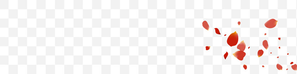 Pink Petal Blur Vector Transparent Panoramic