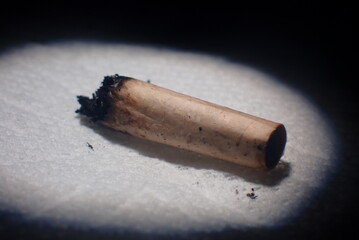 Cigarette Butt