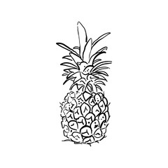 Vector doodle illustration of a pineapple. Hand drawn, sketch.