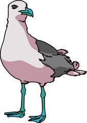 Naklejka premium カモメ（seagull）(eps)