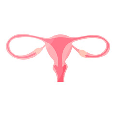uterus organ woman reproductive cycle icon element