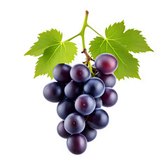 Fototapeta premium Grape Bunch Isolated on Transparent Background 