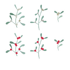 illustration of fir branches, picture of Christmas plants drawn in watercolor.