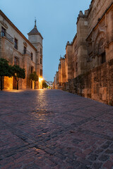 Torrijos Street in the city of Córdoba, with the cathedral mosque on one side and the bishopric of Cordoba on the other. Andalucia.