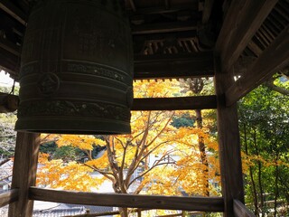 こんぴらさんの松尾寺の紅葉【香川県仲多度郡琴平町・金刀比羅宮】3