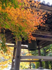 こんぴらさんの松尾寺の紅葉【香川県仲多度郡琴平町・金刀比羅宮】2
