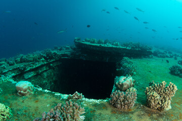 Fouled hatchway on the MV Salem Express shipwreck, Marsa Alam, Red Sea, Egypt