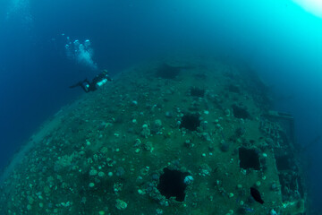 A sole diver swimming along the sunken MV Salem Express Marsa Alam, Egypt