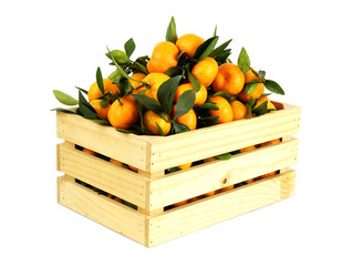 Wooden box with many mandarins isolated on white background.