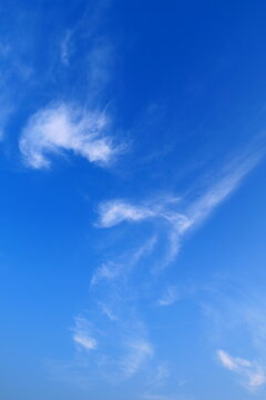 ≪縦≫ さわやかな青空と白い雲