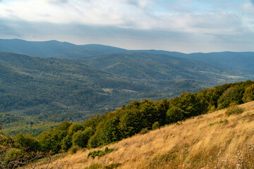 Polonina Wetlinska, Bieszczady mountain, Bieszczady National Park, Poland.