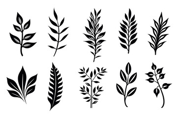 Set of leaf silhouette, botanical elements. Vector leaves isolated on white background. Generative ai