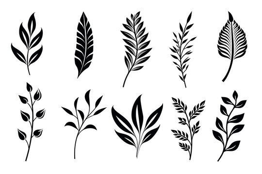 Set of leaf silhouette, botanical elements. Vector leaves isolated on white background. Generative ai