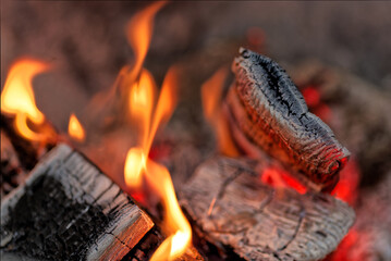 Close-up of burning wood logs in the red embers