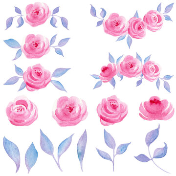 waterciolor hand drawn roses