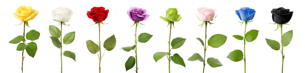Deurstickers Rose set - Color set - Red Rose - Pink Rose - Purple Rose - Blue Rose - Green Rose - Yellow Rose - Black Rose - White Rose - Transparent PNG © Mr. PNG