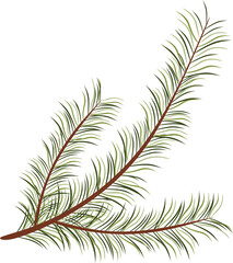 beautiful green Christmas tree from a natural forest. branches of greenery needles. Christmas decorations with fir branches. Christmas decoration for the new year - PNG without background