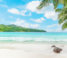 Fototapeta na wymiar White sand and palm trees in Seychelles
