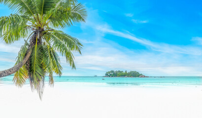 Paradise beach with palm trees and white sand