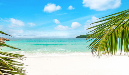 Tropical beach in Seychelles on a sunny day